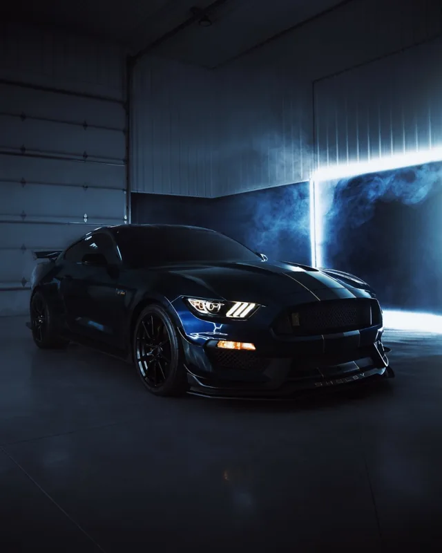 Ford Mustang Shelby GT350: Sunny's Rebirth